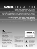 Yamaha DSPE-390 - Owners Manual 
